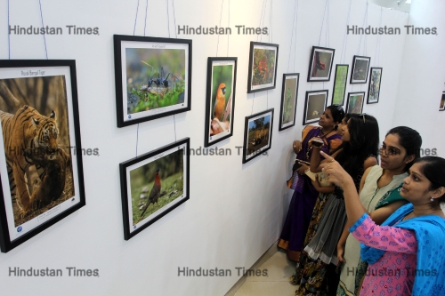 Mumbai Forest Department Organises A Wildlife Photography Exhibition  HTSI15073188547160