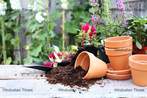 Rustic,Table,With,Flower,Pots,,Potting,Soil,,Trowel,And,Plants
