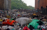 Plastic Ban In Maharashtra
