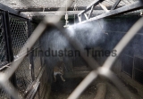 Air Coolers, Water Sprinklers Set Up at Cages To Help Animals At Katraj Zoo 