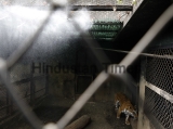 Air Coolers, Water Sprinklers Set Up at Cages To Help Animals At Katraj Zoo 