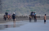 People Enjoy At Diveagar Beach In Pune