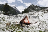Snowfall Over The Hills Of Kashmir