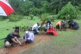 School Children Participate In Tree Plantation Activity With Air Force Officers In Yeoor Hill 
