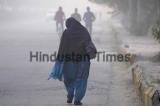 Foggy Morning In Noida
