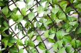 The,Lattice,Covered,With,Artificial,Ivy.,Artificial,Leaves.,Artificial,Plant.