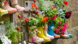 Rubber,Wellington,Boots,Are,Lined,Up,And,Used,As,Flower