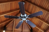 Ceiling,Fan,,Indoors