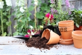 Rustic,Table,With,Flower,Pots,,Potting,Soil,,Trowel,And,Plants